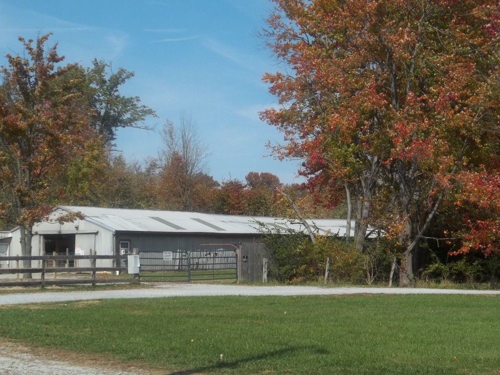 chase stables - horse boarding farm in amelia, ohio