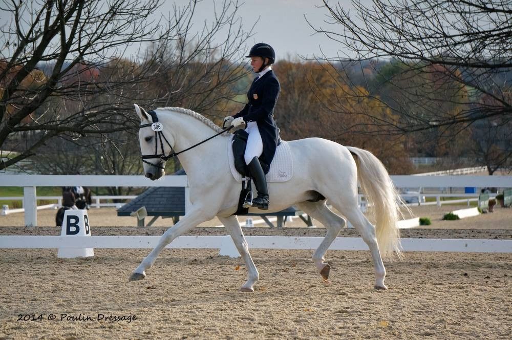 Fair Weather Farm - Horse Boarding Farm in Chagrin Falls, Ohio