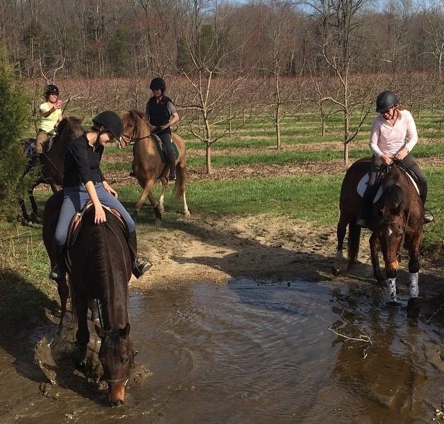 horse riding lessons near lock haven pa