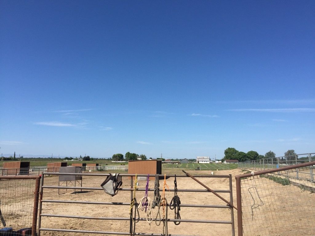 Harmony Hills Ranch Horse Boarding Farm in Oakdale, California