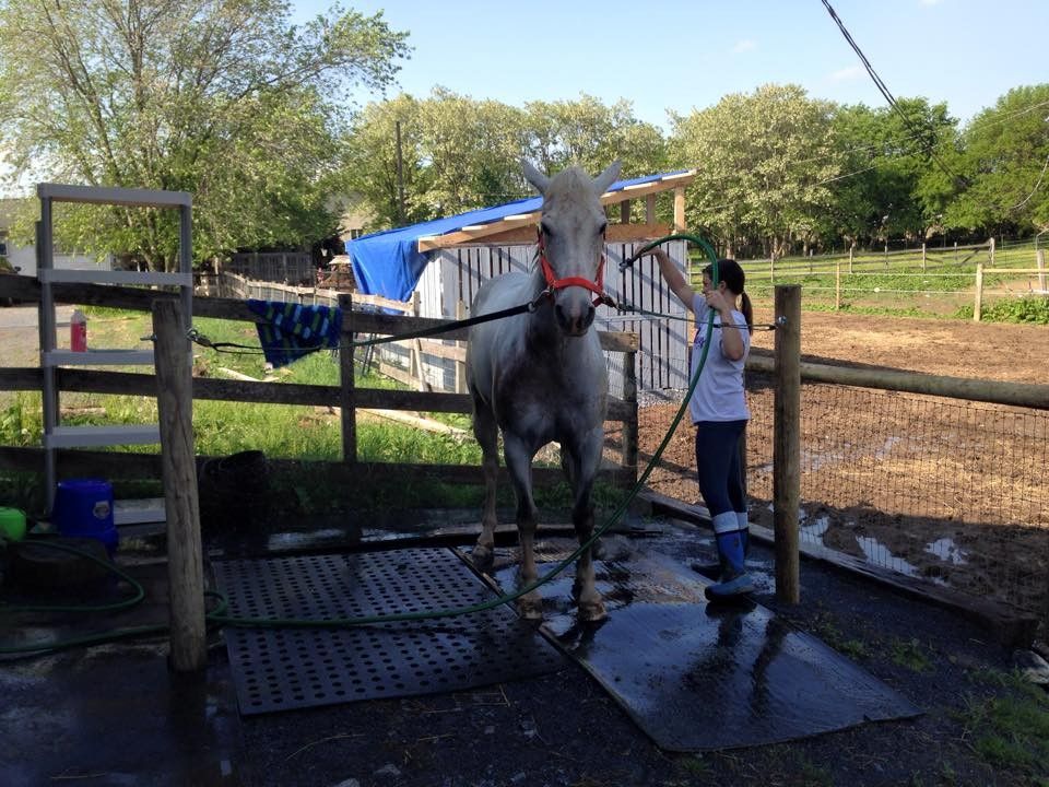 Knights Landing Stables - Horse Boarding Farm in Lititz, Pennsylvania