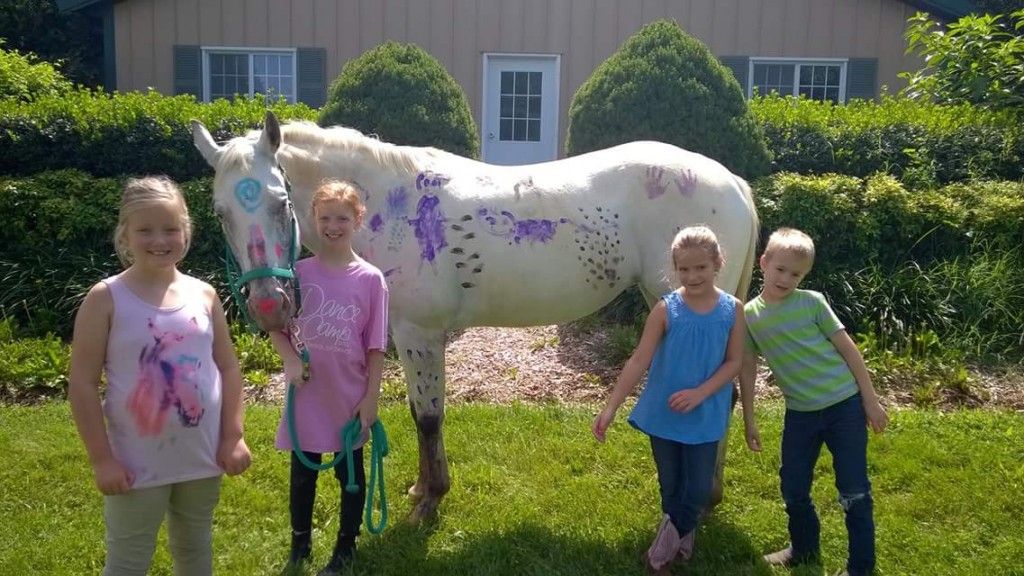 Roberson Equestrian Facility Horse Boarding Farm in Murfreesboro