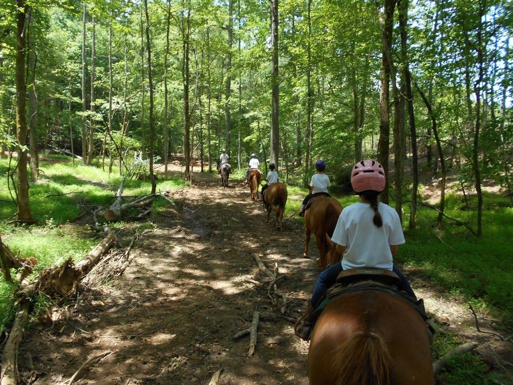 Red Hill Farm - Horse Boarding Farm In Franklinton, North Carolina