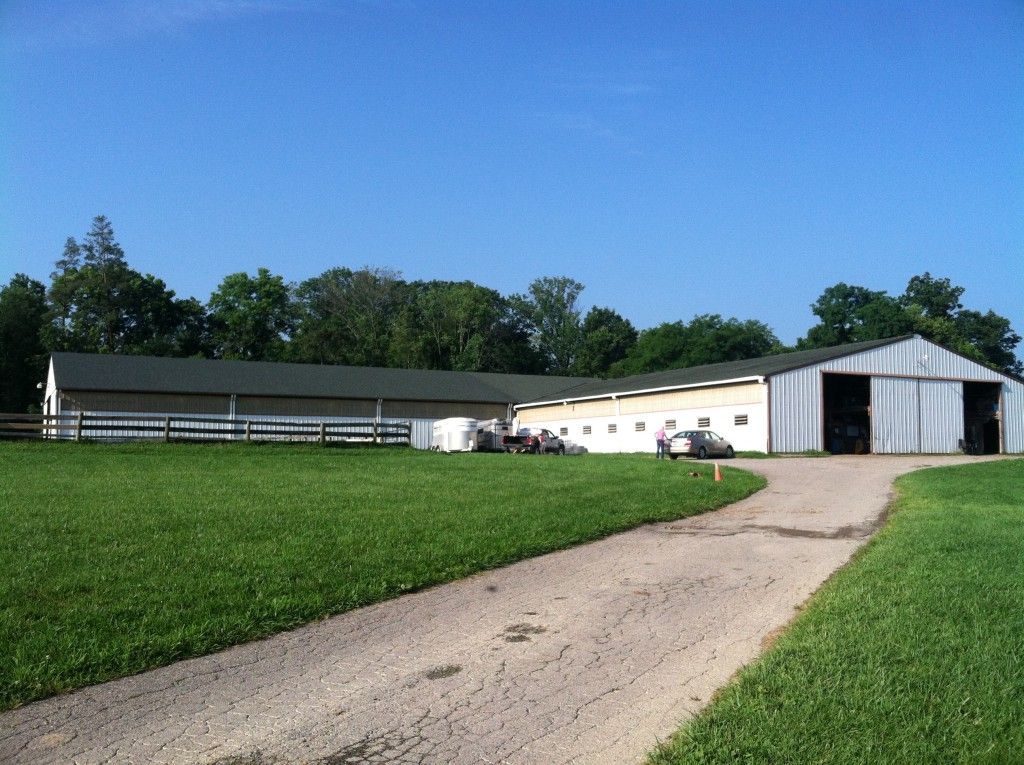 Tyddyn Du Farm - Horse Boarding Farm in Cincinnati, Ohio