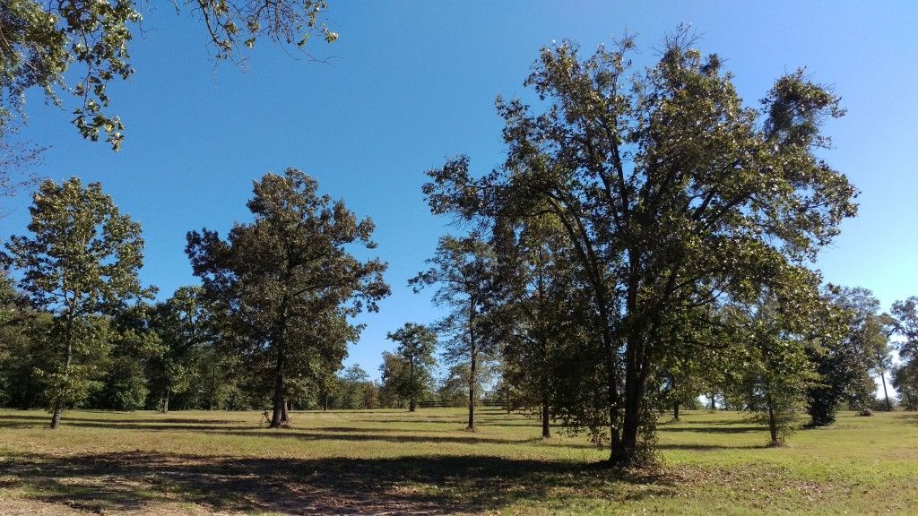 Magnolia Shadows Equestrian Resort - B&B - Restaurant - Horse Boarding ...