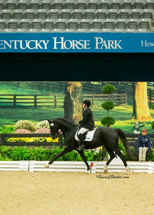 Lindinhof Equine Sports Zentrum - Dressage Trainer in Oregon, Wisconsin