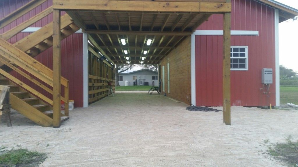 Federated Farms in INDIANTOWN MARTIN COUNTY - Horse 