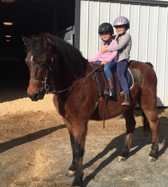 Chestnut Lane Stables - Riding Instructor in Charlotte, North Carolina