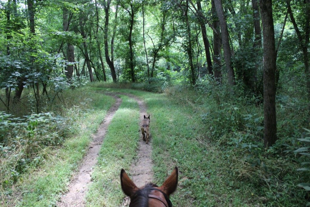 J&amp;T Stables - Horse Boarding Farm in Franklin, Kentucky