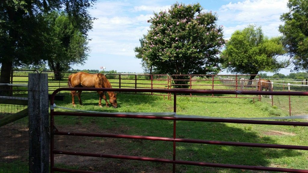 Three Horse Farm - Horse Boarding Farm in Broken Arrow, Oklahoma