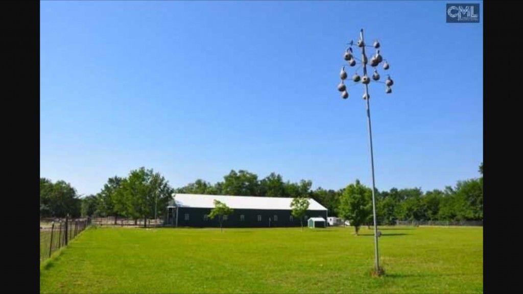 crimson rose stables - horse boarding farm in gilbert