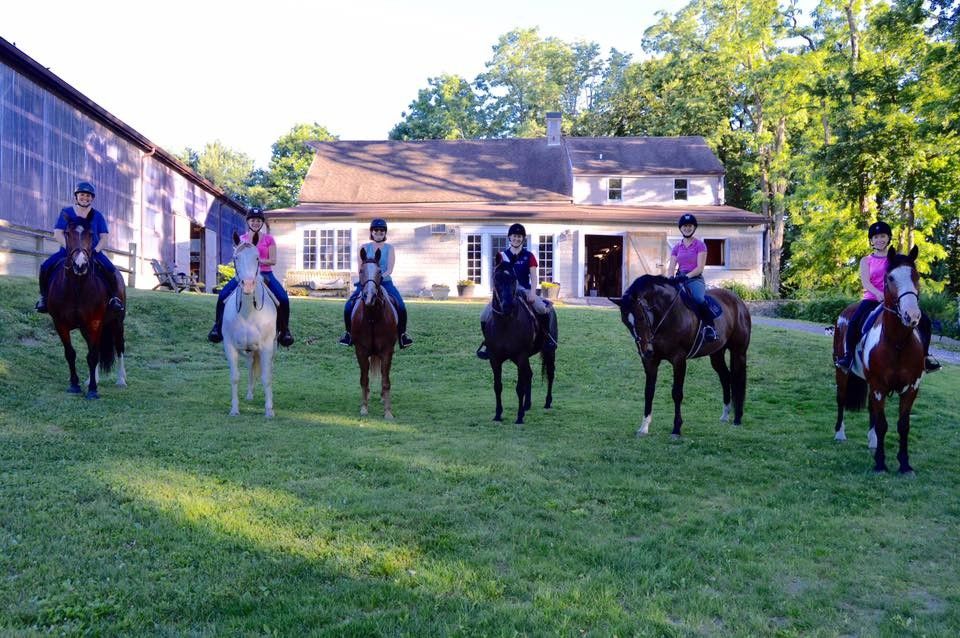 Summit Farm - Horse Boarding Farm in North Salem, New York