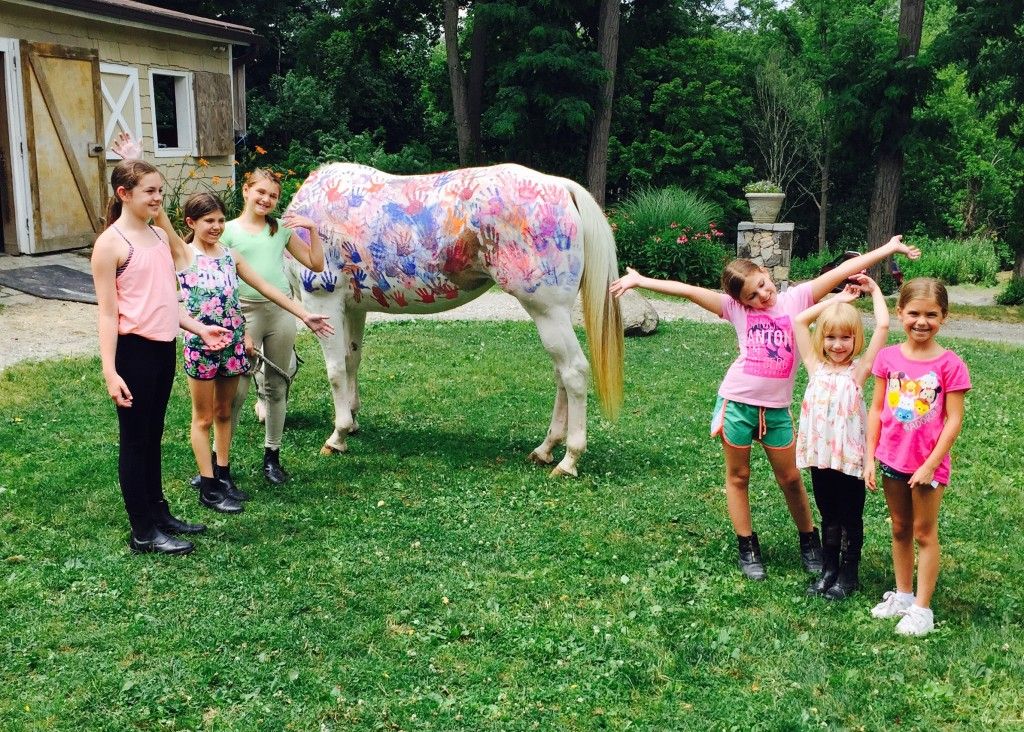 Summit Farm - Horse Boarding Farm in North Salem, New York