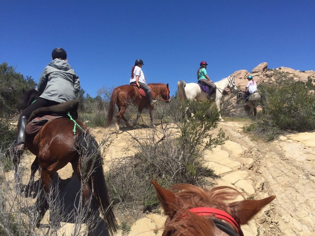 Running Horse Ranch - Horse Camp in Los Angeles, California