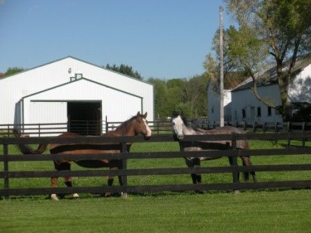 Circle B Stables - Riding Instructor In Spencer, Ohio