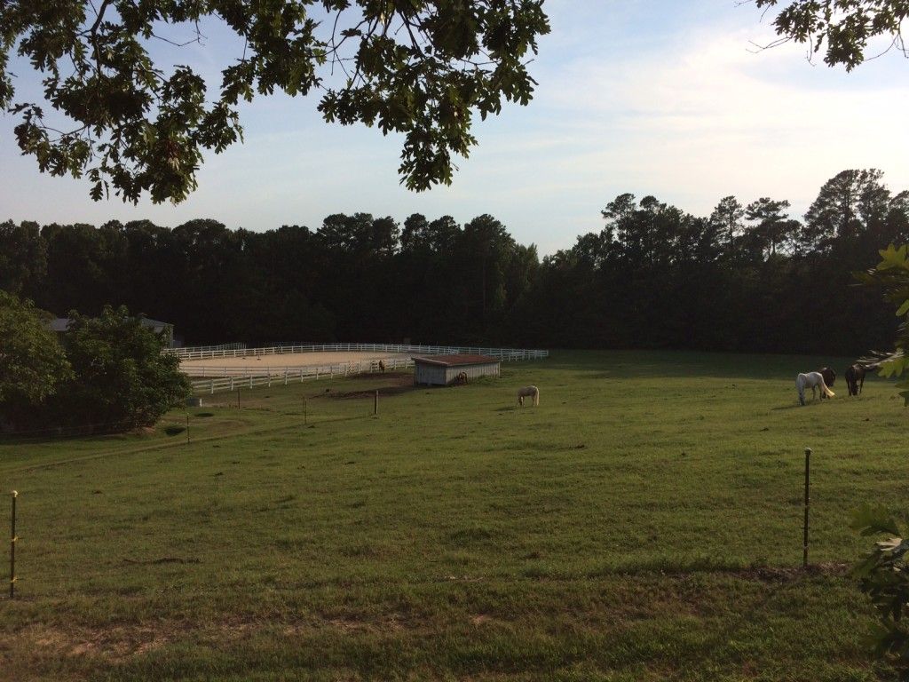 Mims Farm - Horse Boarding Farm in Clayton, North Carolina