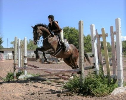 Tonaya Farm - Riding Instructor in Albuquerque, New Mexico