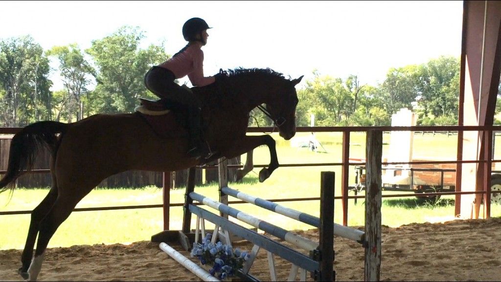 CHH Equestrian Center - Horse Boarding Farm in Wills Point, Texas