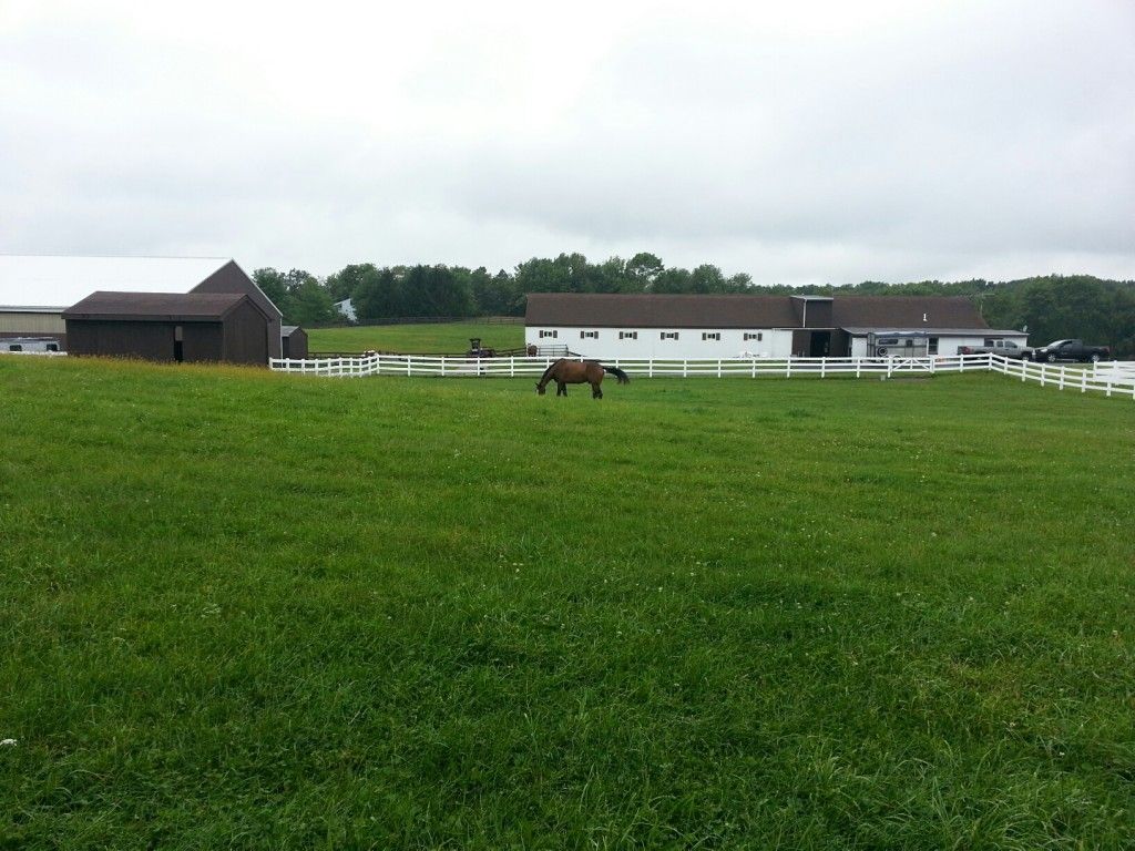 Roman Acres Farm - Horse Boarding Farm In Newton, New Jersey