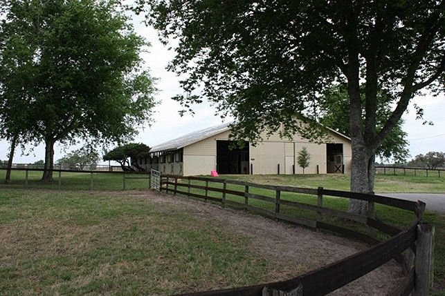 Trinity Stables - Horse Boarding Farm in Ocala, Florida