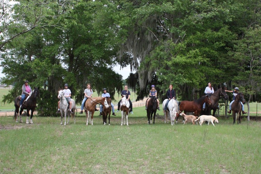 Trinity Stables Horse Boarding Farm in Ocala, Florida