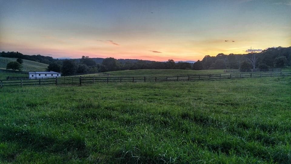 Ashland Equestrian LLC - Horse Boarding Farm in Warrenton, Virginia