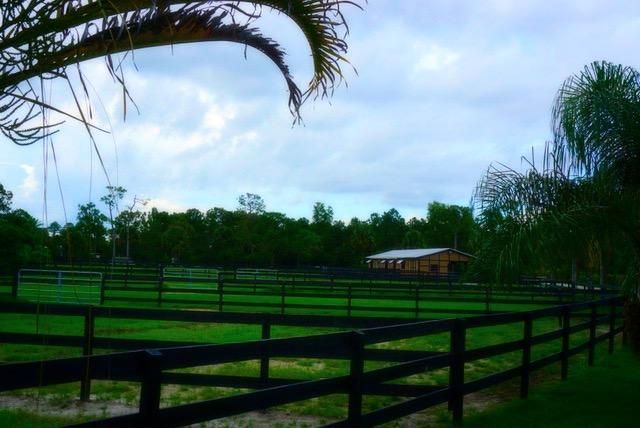 ranch colony horse barn - horse boarding farm in jupiter