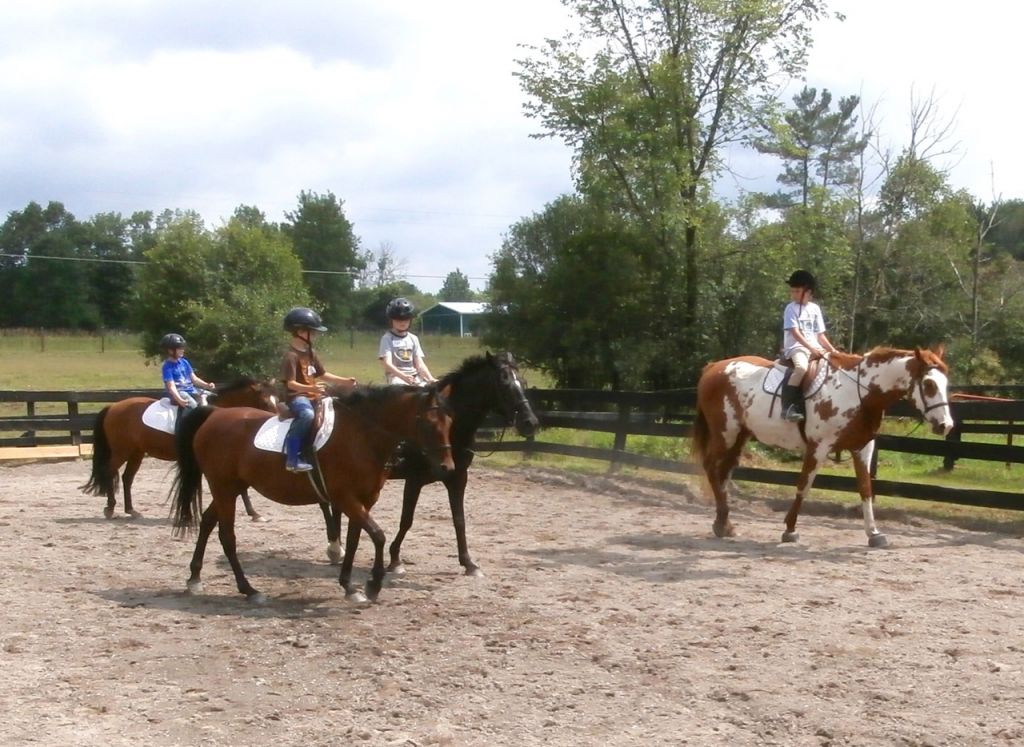 If Only Farm Equestrian Center Summer Camp - Horse Camp in Freeville ...