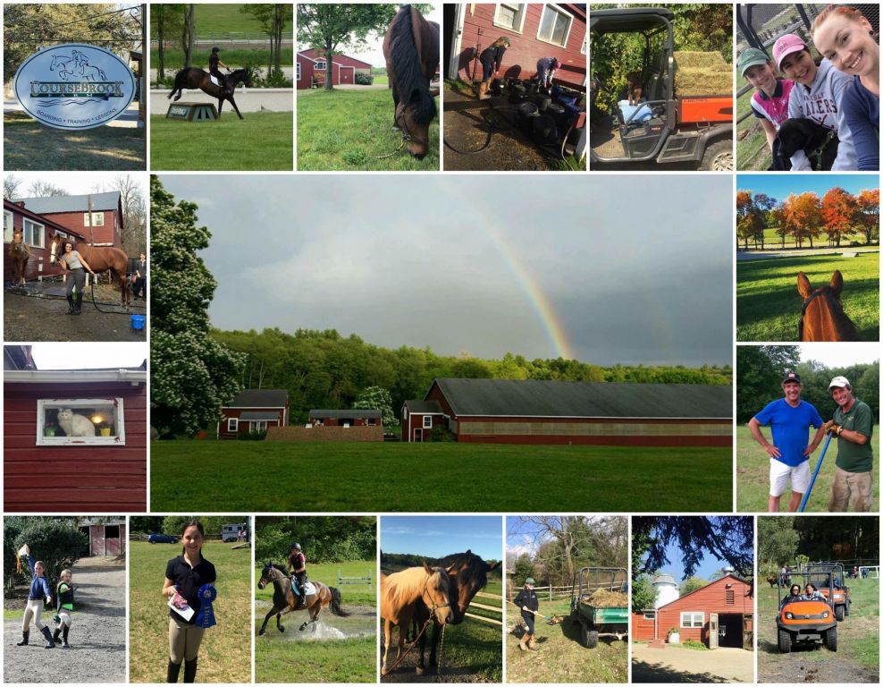 Course Brook Farm Horse Boarding Farm in Sherborn, Massachusetts