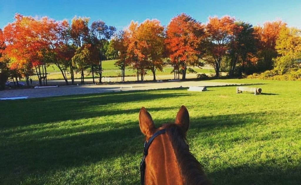 Course Brook Farm Horse Boarding Farm in Sherborn, Massachusetts