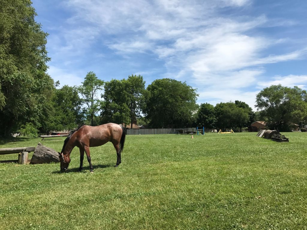 Bridlewood Stables - Horse Boarding Farm in Peoria, Illinois