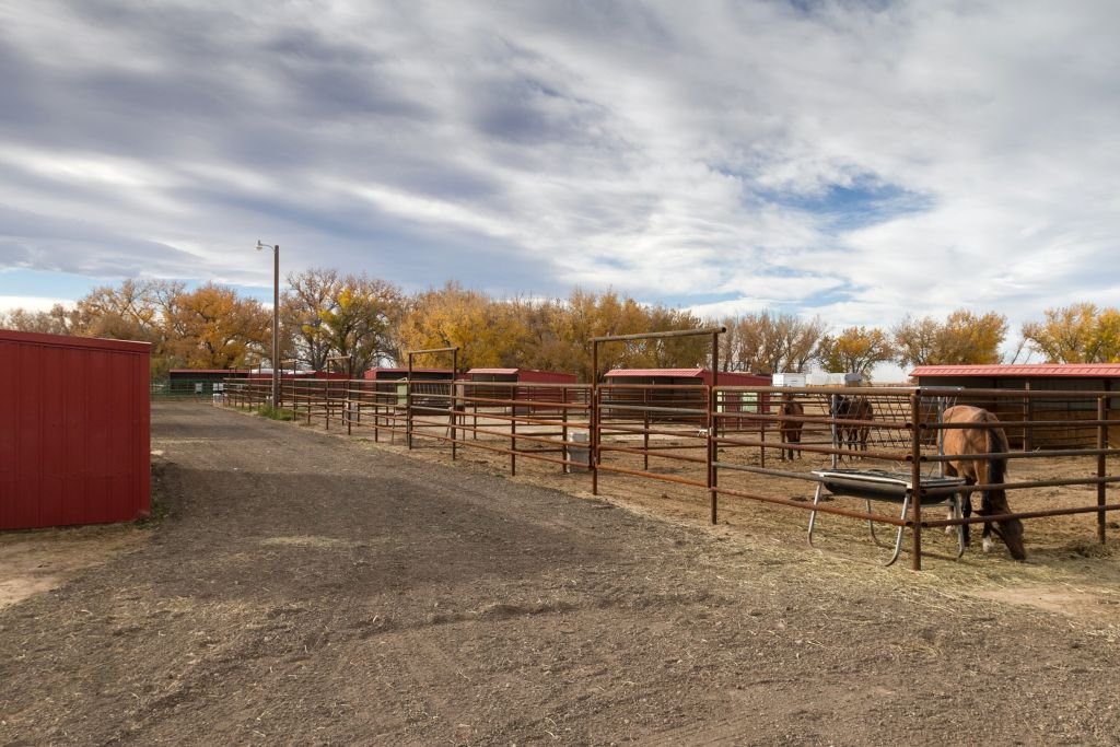 DEKO Ranch - Horse Boarding Farm in Hudson, Colorado