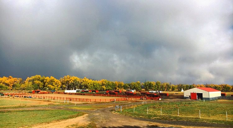 DEKO Ranch - Horse Boarding Farm in Hudson, Colorado