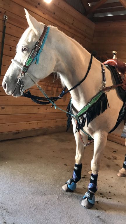 Whispering Creek Farm - Horse Boarding Farm in Coopersburg 