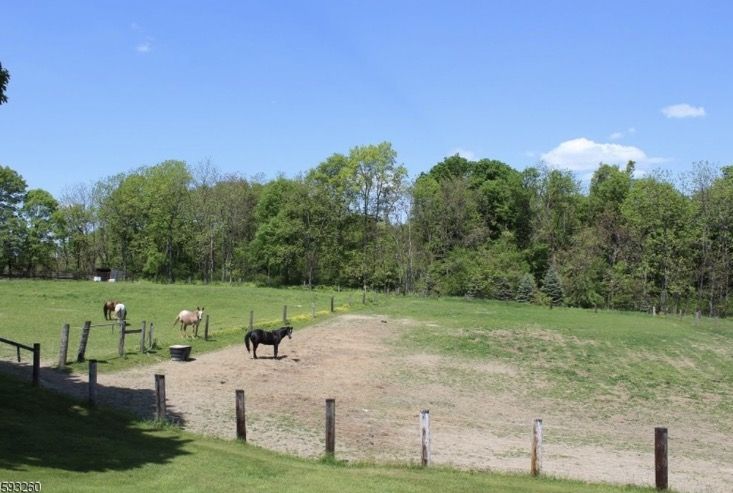 LinLeeK Farm - Horse Boarding Farm in Blairstown, New Jersey