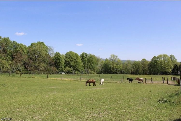 LinLeeK Farm - Horse Boarding Farm in Blairstown, New Jersey