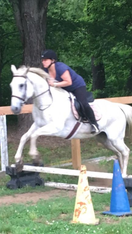 Cornerstone Equestrian - Riding Instructor In Hillsborough, New Jersey