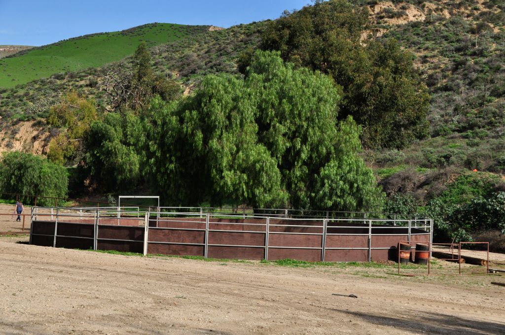 W-D Sence Ranch - Horse Boarding Farm in Somis, California