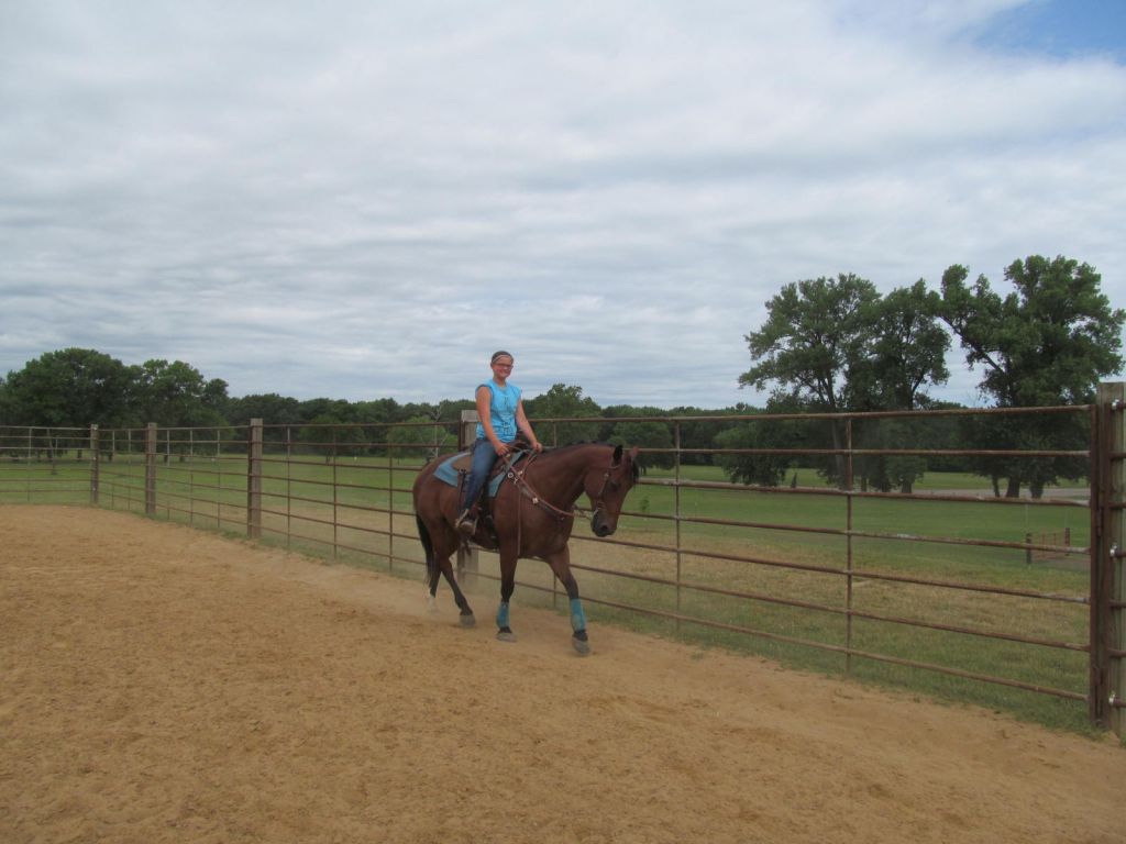 Riverside Stables - Horse Camp in Springfield, Illinois