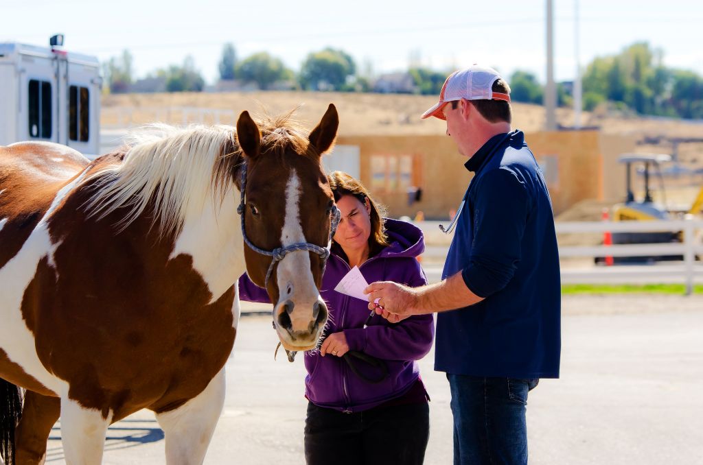 Idaho Equine Hospital Horse Vet in Nampa, Idaho