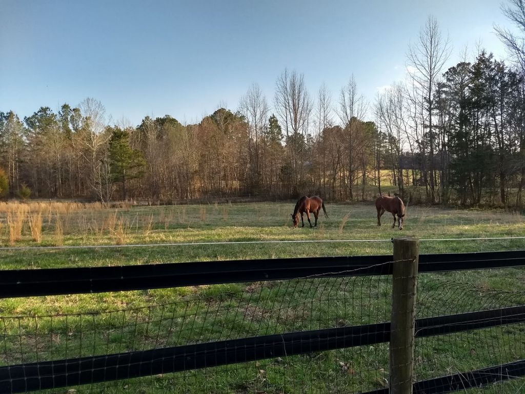 Cornerstone Horse Farm LLC - Horse Boarding Farm in Oxford, North Carolina