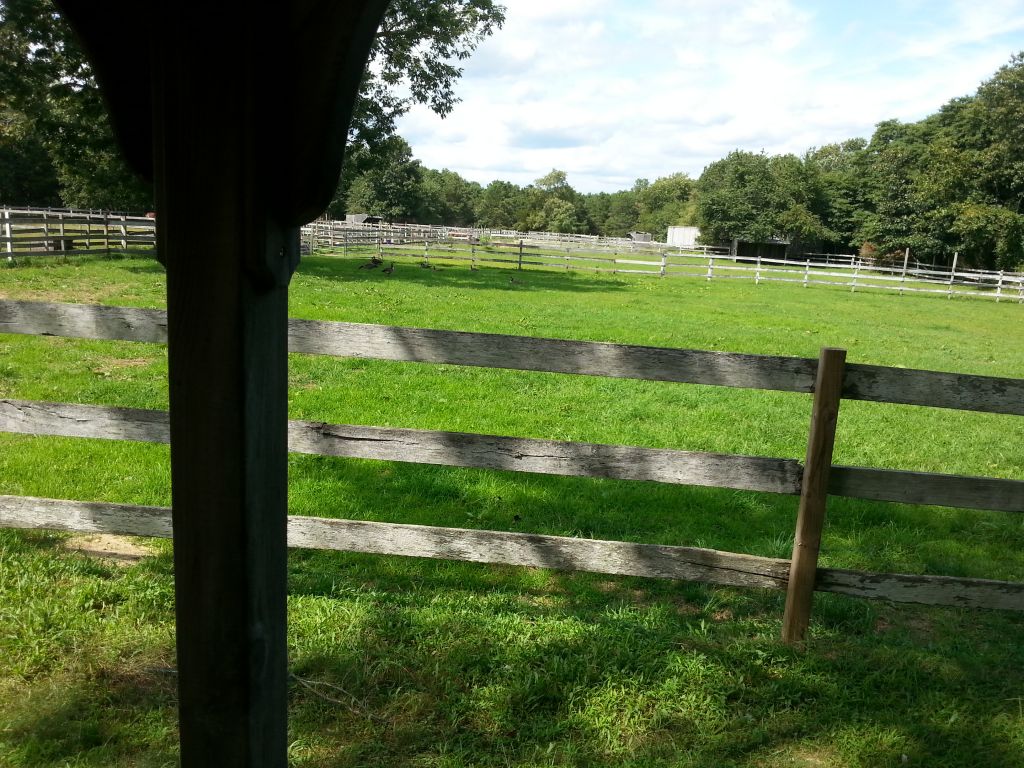 Horse Boarding in Colts Neck, New Jersey (Monmouth County)