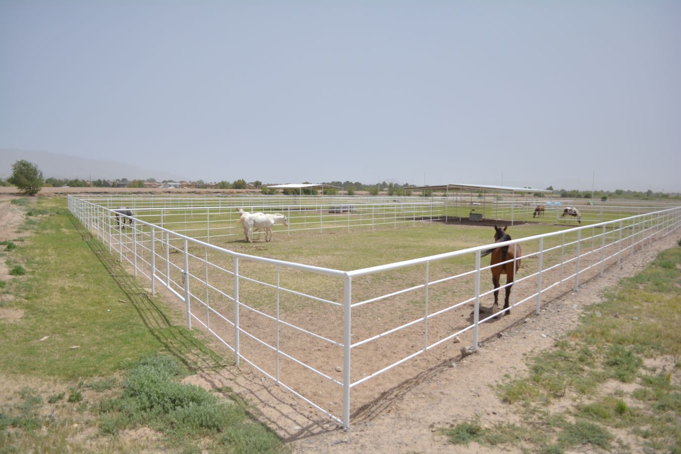 debacs equestrian center - horse boarding farm in el paso