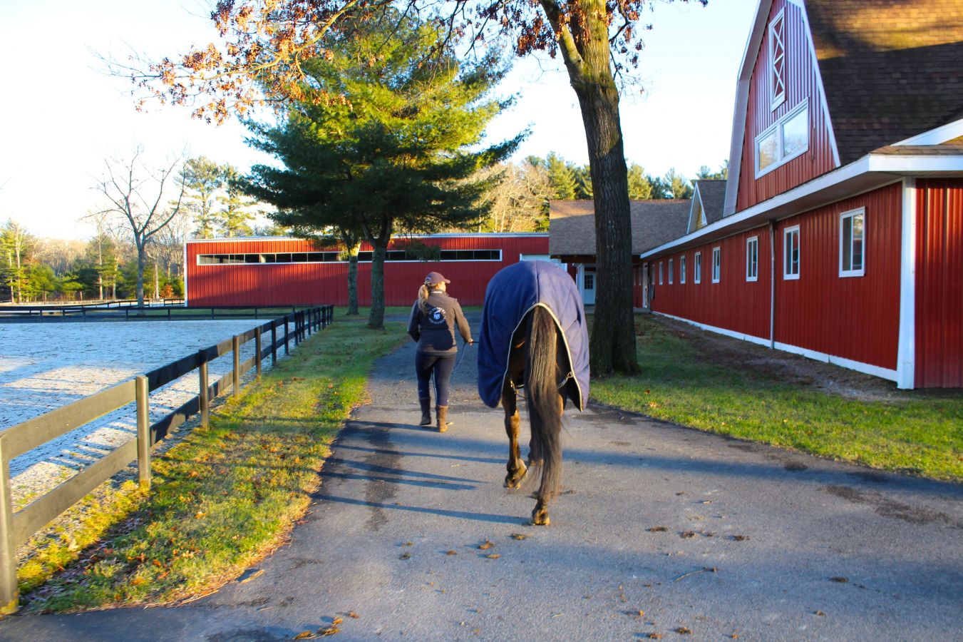 Hudson Derby Stables - Horse Boarding Farm In Halifax, Massachusetts