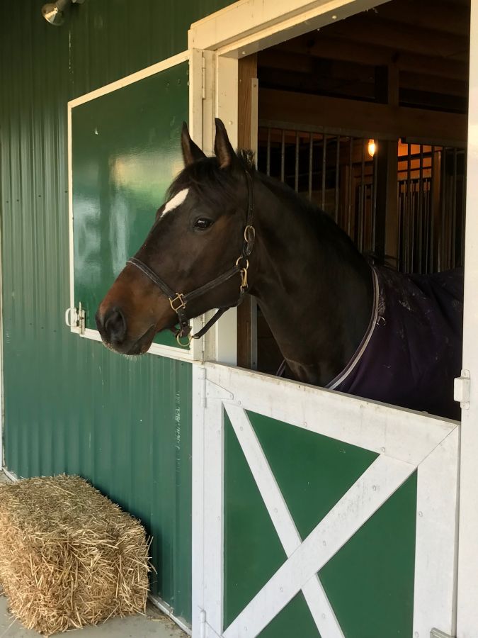 Strong To The Finish Stables - Horse Boarding Farm in Ravenna, Ohio