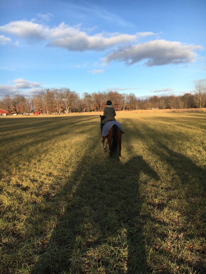 Fallen Oak Farm and Stables, LLC - Horse Boarding Farm in Osceola, Indiana