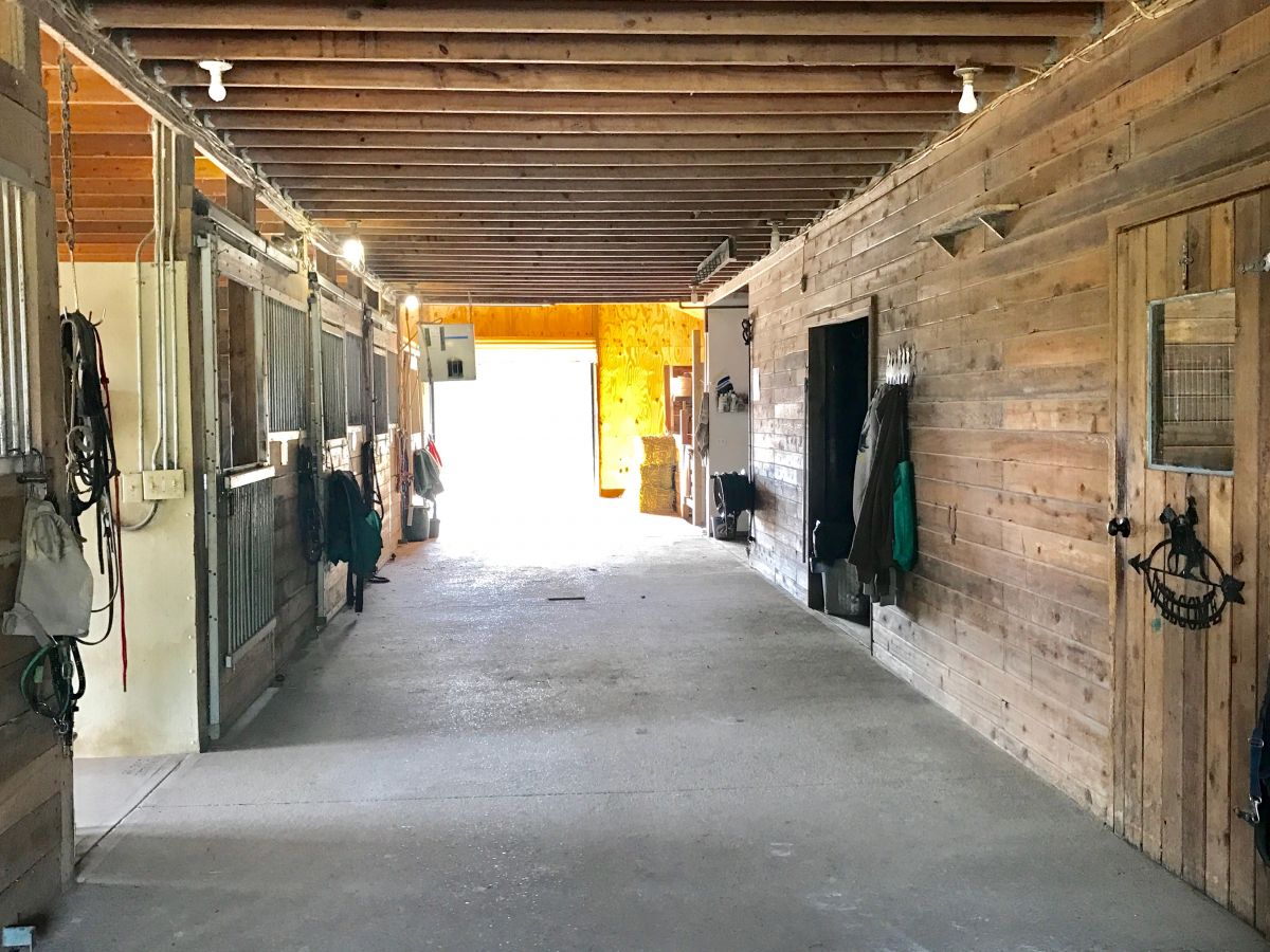 A And R Ranch - Horse Boarding Farm In Lapeer, Michigan