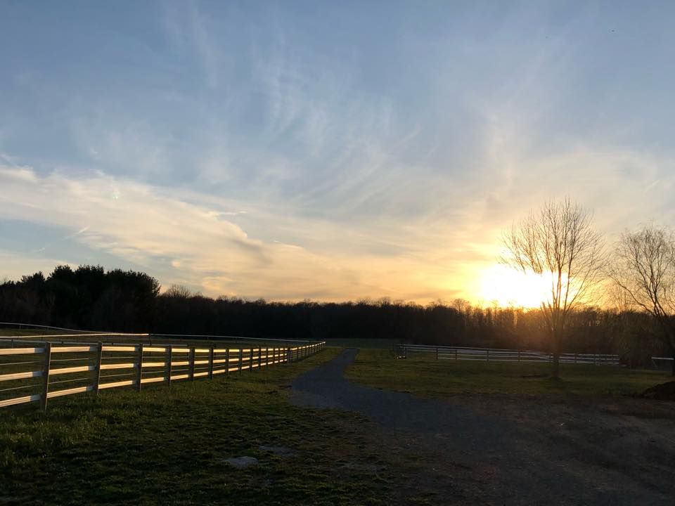 Three Fillies Farm Llc - Horse Boarding Farm In Wadsworth, Ohio