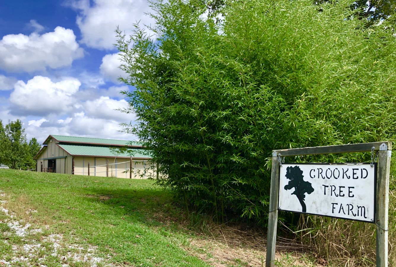 Crooked Tree Farm Horse Boarding Farm In Statesville North Carolina