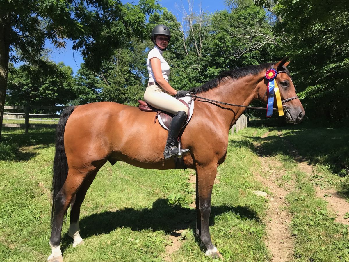 Pennyless Farm Amanda Wise Hunter Jumper Trainer in Wagener, South